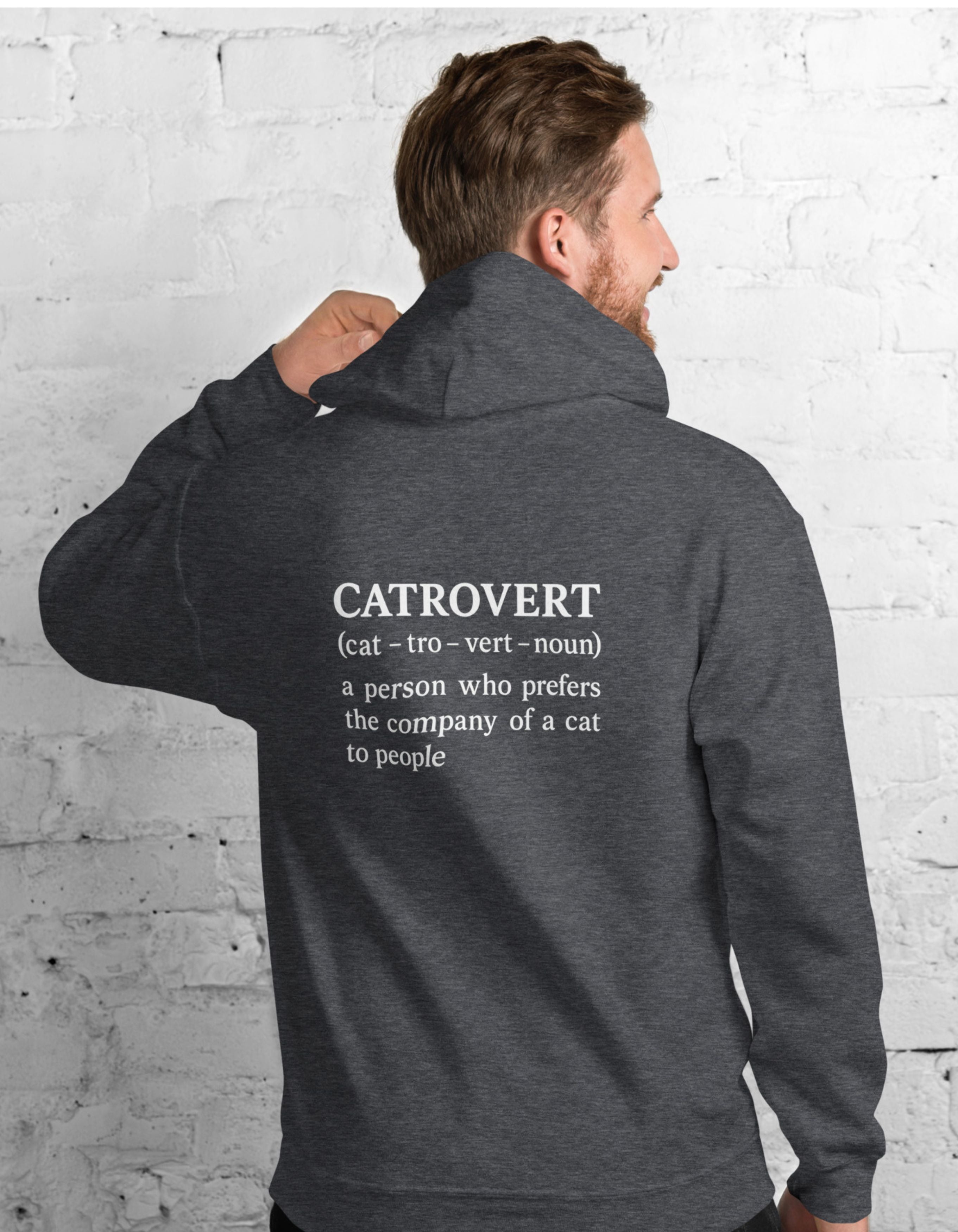 Catrovert Hoodie Funny Cat Lover Definition Pullover Hoodie - sizes up to 5XL